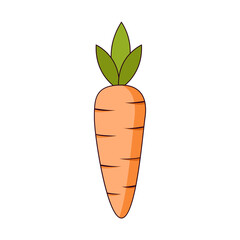 Isolated carrot icon. Vegetable icon - Vector illustration