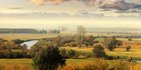 Naklejka na ściany i meble jesień na Podlasiu- rzeka Narew