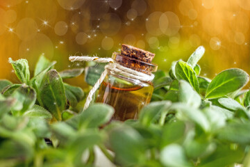 Magic potion in a glass bottle with a cork on a magic background with stars, sparks and green...