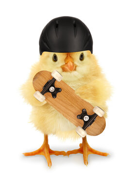 Cute cool chick with skateboard and helmet funny conceptual image