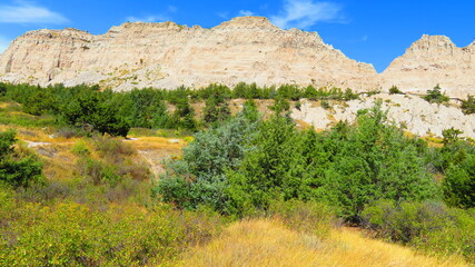 Trees in the Badlands of South Dakota Wilderness