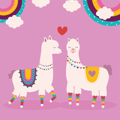 sweet llamas together