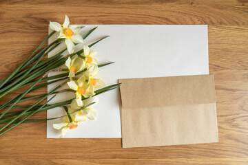Daffodils flowers flat lay and blank letter layout with envelope on pastel paper white background. Creative minimalistic concept, top view, copy space