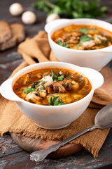 Mushroom soup close-up. Hungarian mushroom soup with champignons, paprika, potatoes, meat, and spices in white bowls on a dark table. Tasty lunch or dinner.