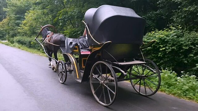 Russia. Moscow. 12.06.2019 View of a horse-drawn carriage that rides along the road in the forest.