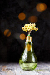Dry golden dwarf everlast flower (Helichrysum arenarium) in a vase in the form of a light bulb