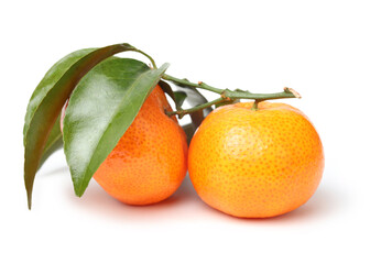 mandarin or tangerine isolated on a white background