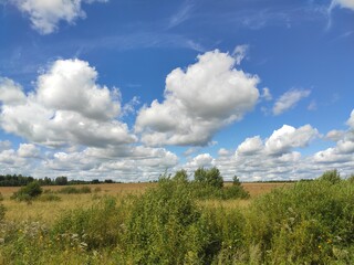 clouds over the field