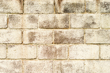 Texture of a brick wall with cracks and scratches which can be used as a background