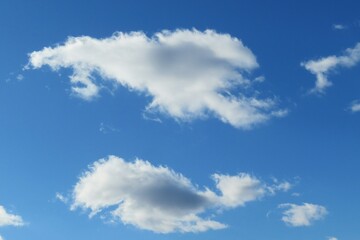 Fluffy clouds in the sky