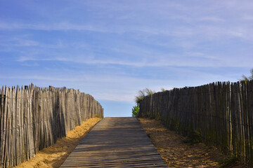 Chemin de bois sur les dunes de la Tranche-sur-Mer (85360), département de la Vendée en région Pays de la Loire, France