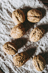 Noix brutes fraîchement ramassées au jardin