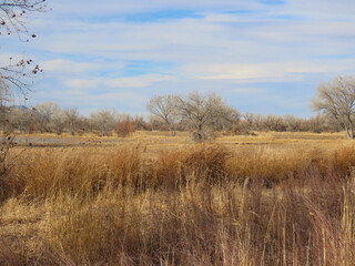 Scenic views of Bosque del Apache National Wildlife Refuge in Socorro County, New Mexico