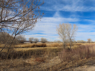 Fototapeta premium Scenic views of Bosque del Apache National Wildlife Refuge in Socorro County, New Mexico