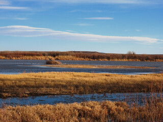 Scenic views of Bosque del Apache National Wildlife Refuge in Socorro County, New Mexico