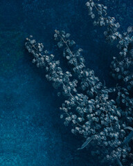 Abstract blue monochrome flower art with cool tones.