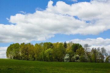 Fototapeta premium Beautiful landscape. Spring mood, sunny day, clouds. Place for text.