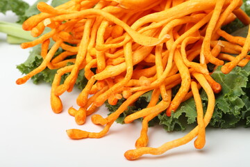 fresh cordyceps mushroom on white background.