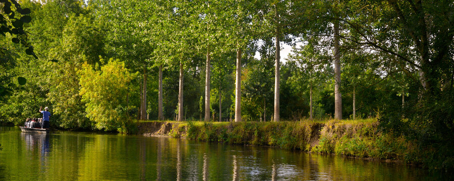 Panoramique embarqu&eacute; sur l'eau du Marais-Poitevin bord&eacute;e de peupliers, d&eacute;partement de Vend&eacute;e en r&eacute;gion Pays de la Loire, France