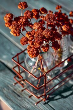 Rustic Still Life Of Dried Brown Flowers In Glass Jars Inside Vintage Wire Rack On Wood Tble