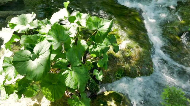 Small waterfalls on the Plitvice Lakes in the National Park in Croatia, Close up