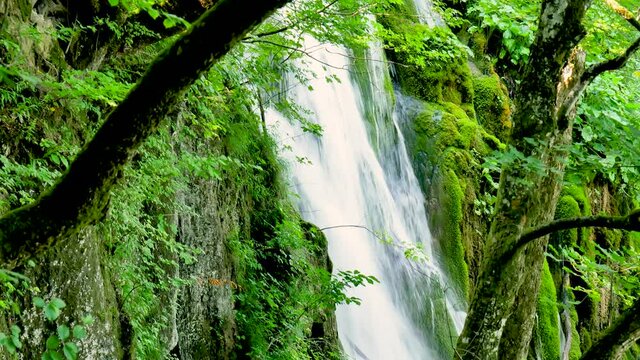 waterfall in the croatian national park of Plitvice lakes. Crystal clear fresh water going downhill over green overgrown rocks.