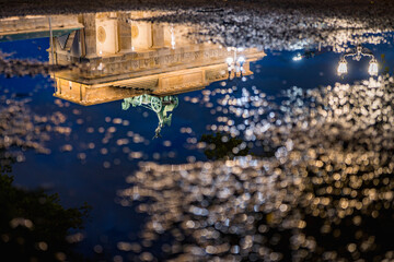 reflection of the brandenburg gate in a rain puddle at night	
