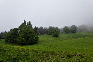 foogy morning green grass meadow spring alpes mountains landscape Savoie region France Mont Revard 