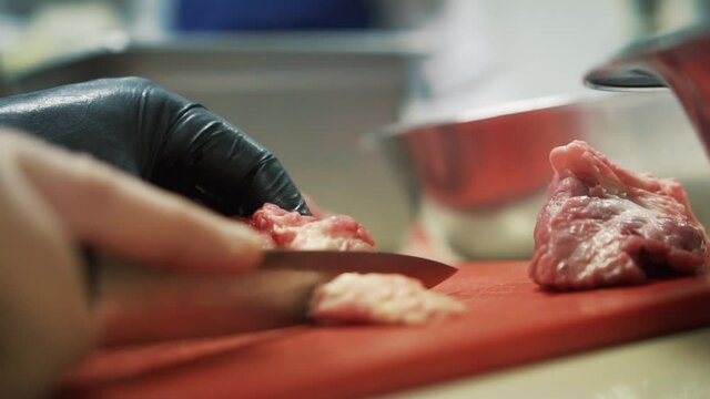 Extreme close-up of chef slicing meat with knife. Slow-motion