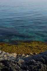 near the sea