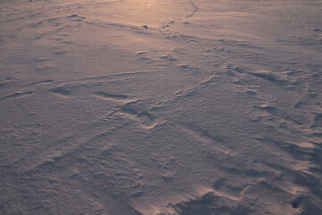 footprints in the snow