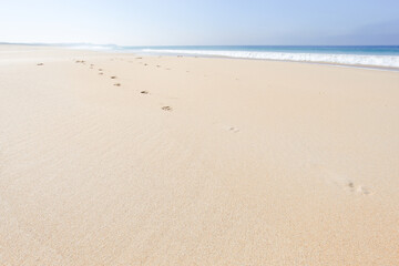 Fototapeta na wymiar Peniche, Portugal Perfect beach with white sand and ocean