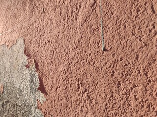 books sidewalk tree sky tree branches