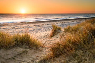 A sandy winding path weaves through the sand dunes and towards the sea on the Norfolk Coast at Winterton on Sea as the early morning sun rises above the horizon. - obrazy, fototapety, plakaty