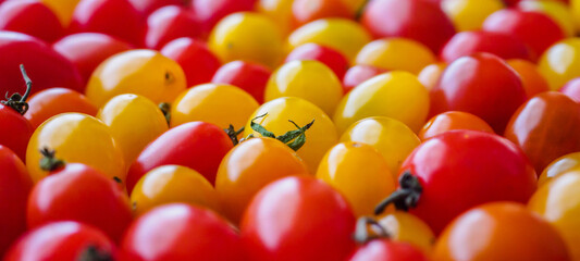 Red ripe organic tomato background
