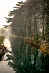 Naklejka na ściany i meble Foggy Irish Canal in Winter