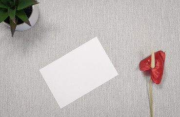 Carte d'invitation blanche sur fond gris avec une fleur rouge. Pour écrire un message, invitation, vœux.	