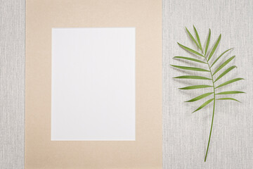 Cadre photo sur fond gris avec une feuille de plante verte. Pour écrire un message, invitation,...