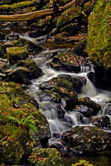 Fototapeta na wymiar tranquil and peaceful autumn streams and waterfalls in Lake District in Cumbria, North England.