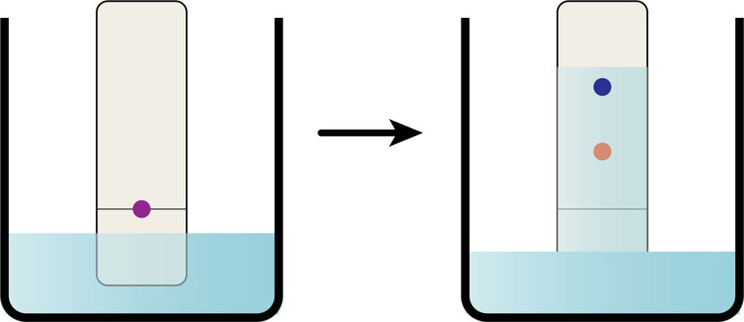 Paper Chromatography Analytical Method Illustration