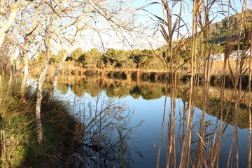 tarde tranquila en orilla del rio