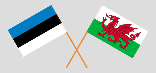 Crossed flags of Estonia and Wales. Official colors. Correct proportion