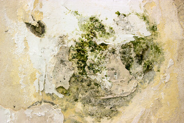 Background image. Wall texture.