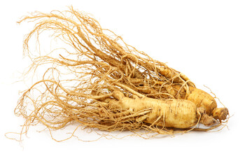 Fresh ginseng slices on white background.