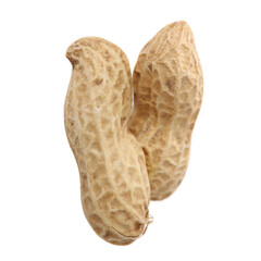 peanuts on white background