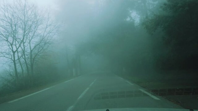 Driving in forest road acrossing cedrus trees and beautiful nature , in atlas mountains, asphalt road and foggy weather , car travel - algeria