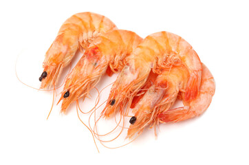 shrimps isolated on white background