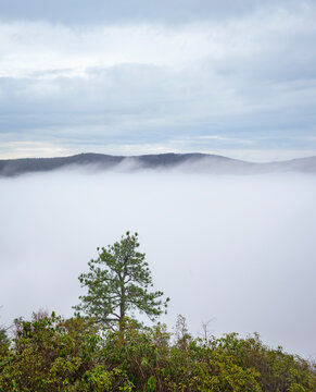 Afternoon Fog In The Valley Of The South Carolina Mountains.