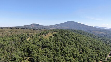 Obraz premium default