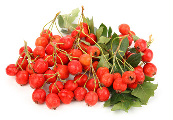 Hawthorn berry 